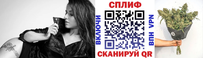 Купить закладки  Гатчина  Конопля сатива 